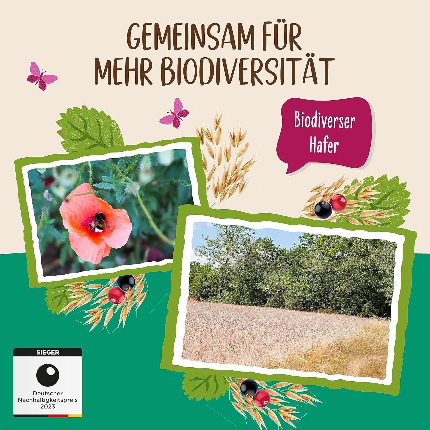 Allos, muesli ai frutti di bosco non zuccherato, confezione 5 x 500 grammi Cereals Naty Shop