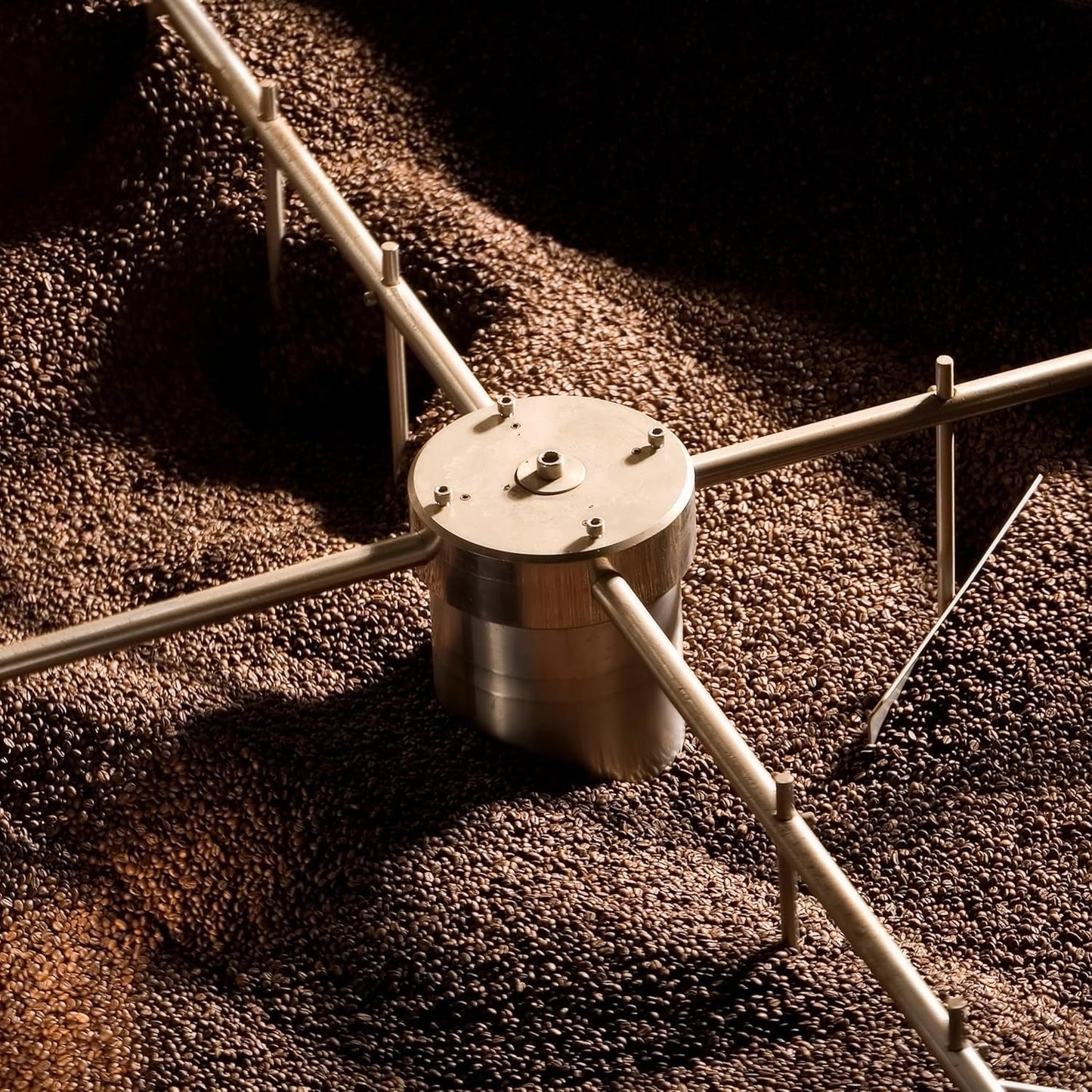 NIK CAFE' – Miscela Classica – caffè in grani tostati. Sua Eccellenza, quello robusto. Robusto al 100%.