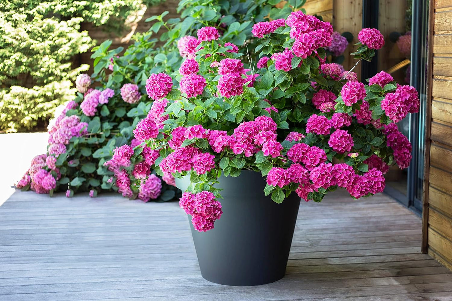 PLASTICA? Vaso da fiori in plastica, 76 litri, colori vivaci, Zen, larghezza 60 cm x altezza 47 cm