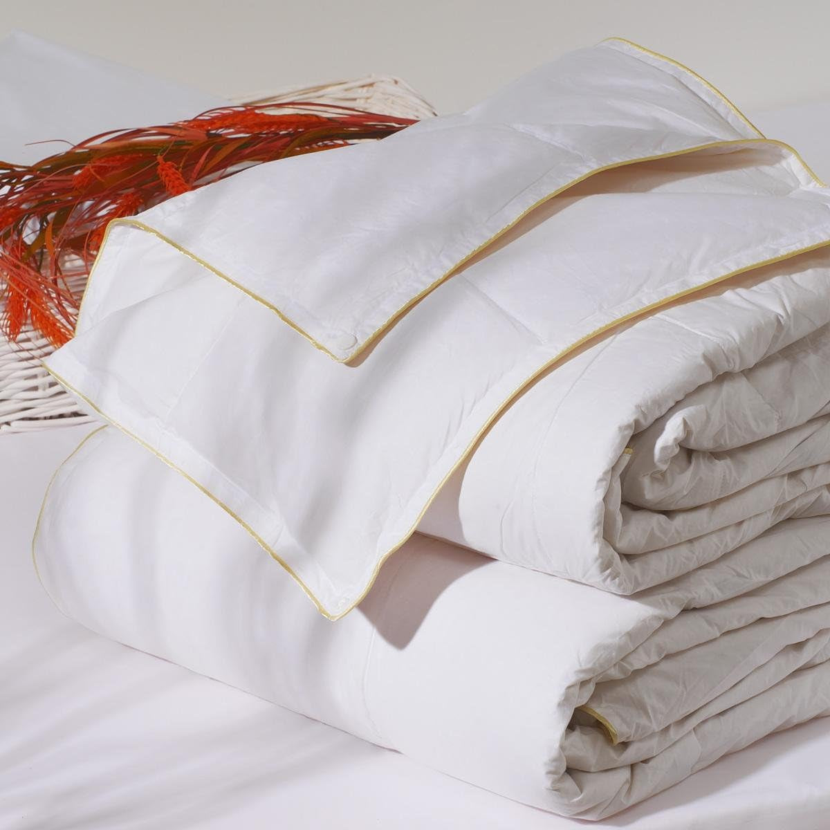 Sancarlos - Vivaldi, piumino 4 stagioni in piuma d'oca, 180 + 120 G/M², 220 X 220 Cm, bianco (bianco) Trapunte e trapunte Naty Shop