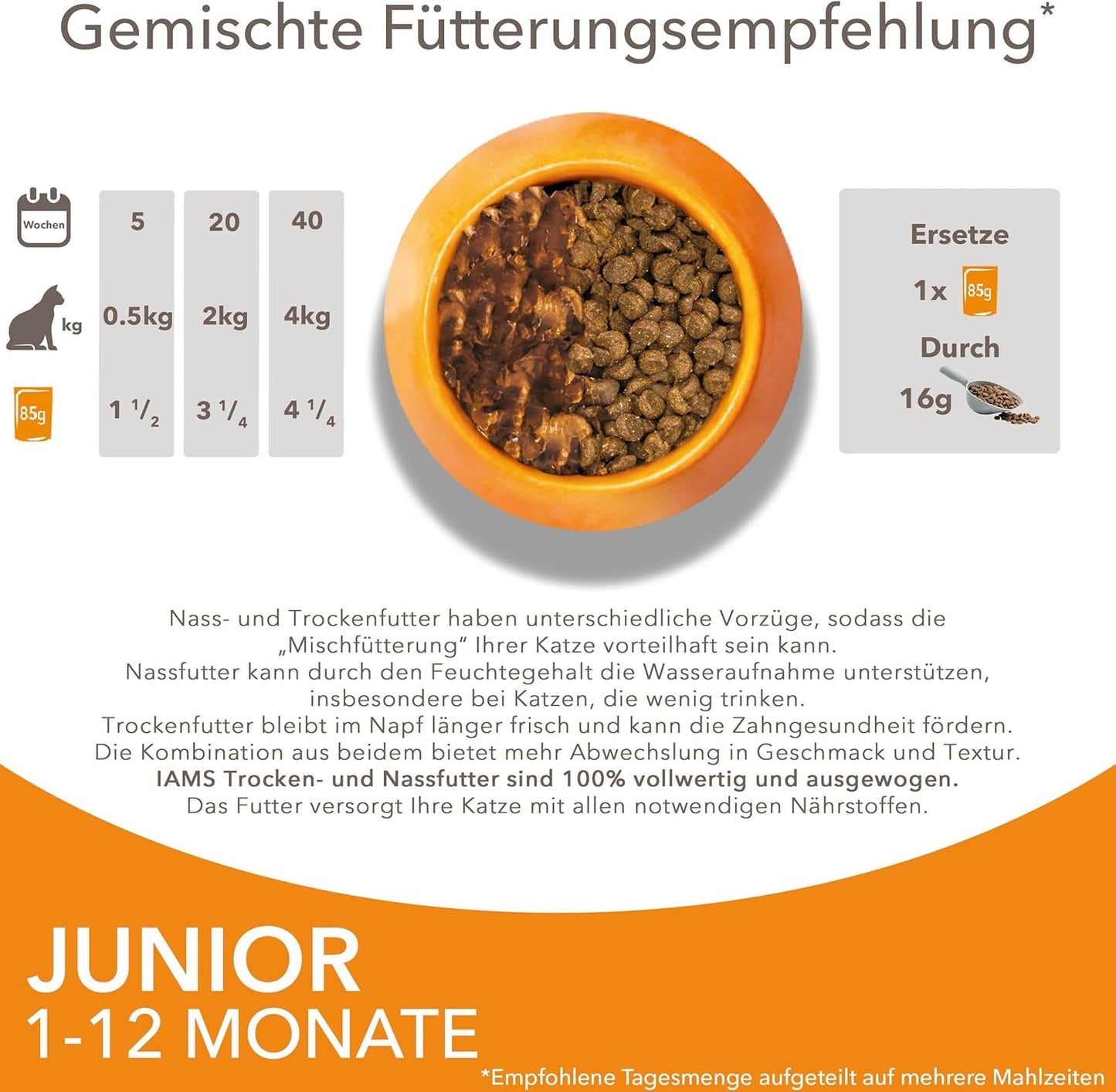 IAMS Delights Kitten Nassfutter - Multipack Katzenfutter mit Hunn in Sauce, alta qualità Futter für Junior Kätzchen von 1-12 Monate, 12 x 85 g