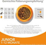 IAMS Delights Kitten Nassfutter - Multipack Katzenfutter mit Hunn in Sauce, alta qualità Futter für Junior Kätzchen von 1-12 Monate, 12 x 85 g