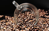 Caffè speciale dal Sud America - Galapagos, l'ecosistema unico delle isole (1000 grammi, chicchi interi) - caffè monorigine - caffè premium - bassa acidità - leggermente tostato e fresco