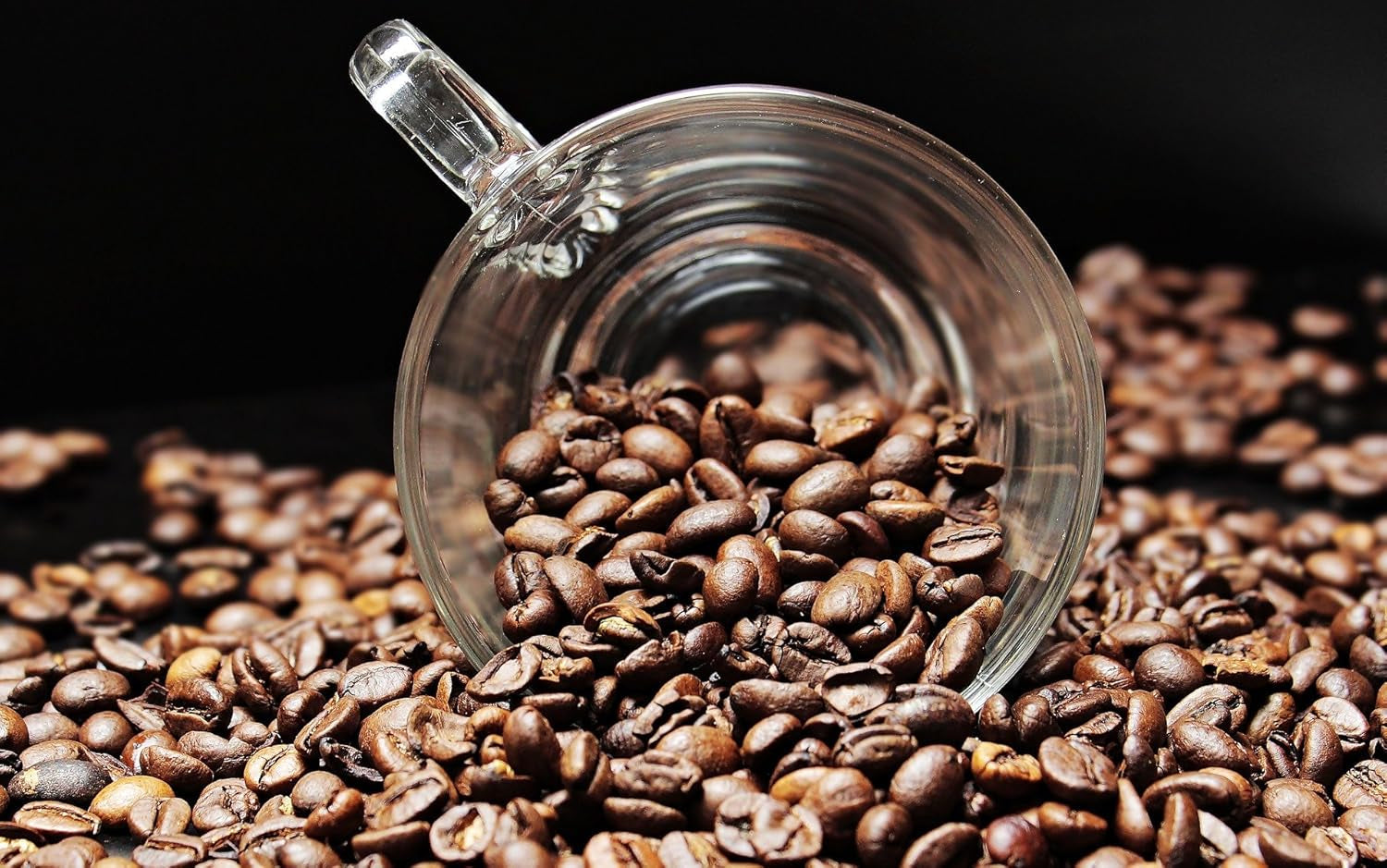 Caffè speciale dal Sud America - Galapagos, l'ecosistema unico delle isole (1000 grammi, chicchi interi) - caffè monorigine - caffè premium - bassa acidità - leggermente tostato e fresco