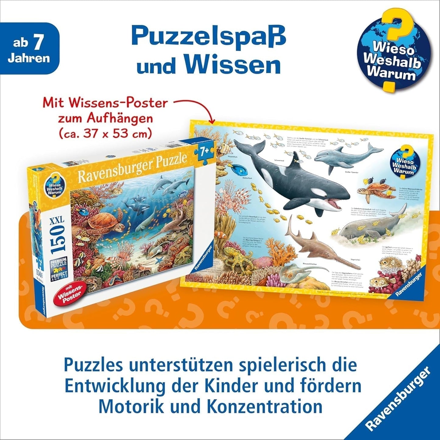 Puzzle per bambini Ravensburger 13411 - Creature marine sulla barriera corallina - Perché? Perché? Perché? Puzzle 150 pezzi XXL + poster della conoscenza, per bambini dai 7 anni Puzzle Naty Shop