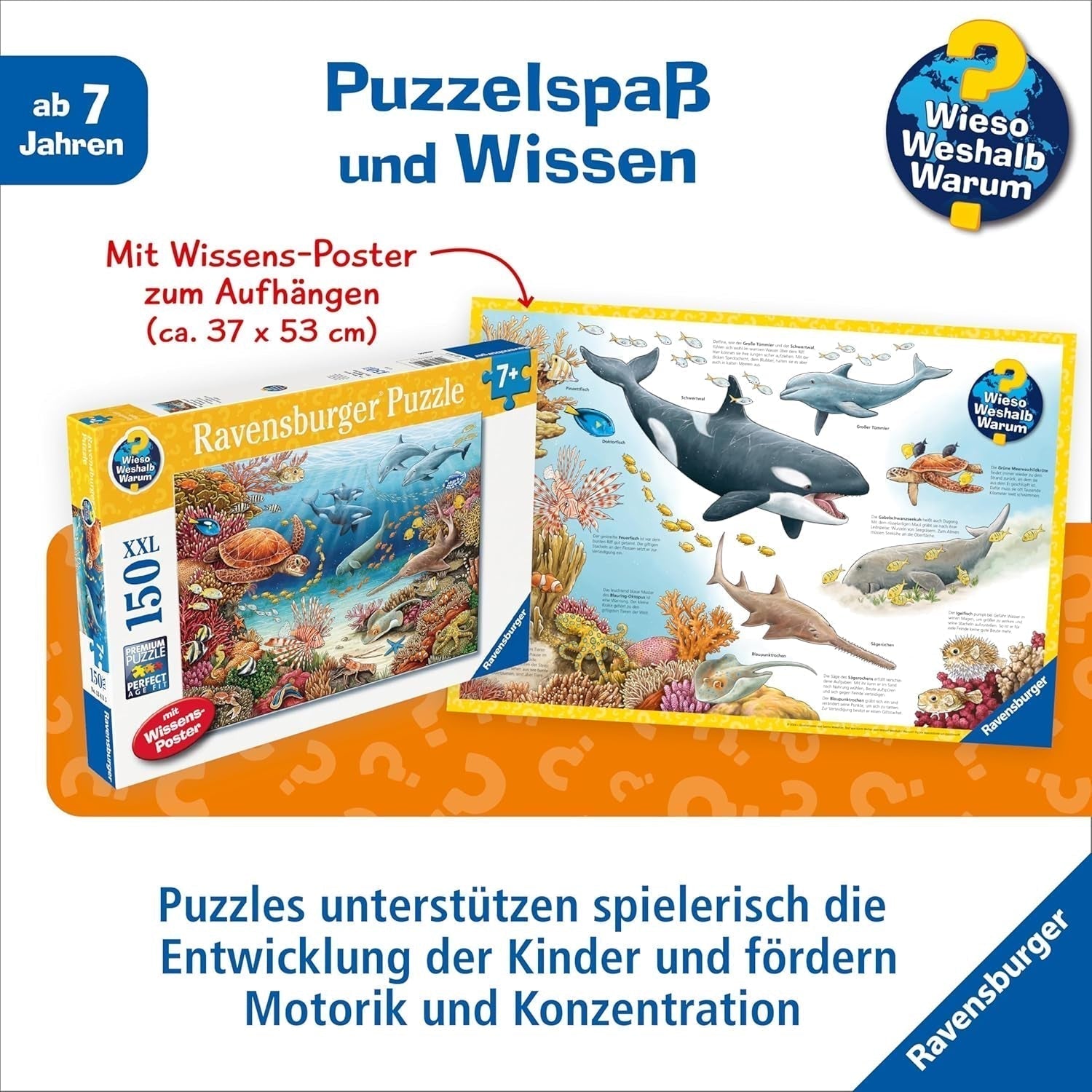 Puzzle per bambini Ravensburger 13411 - Creature marine sulla barriera corallina - Perché? Perché? Perché? Puzzle 150 pezzi XXL + poster della conoscenza, per bambini dai 7 anni Puzzle Naty Shop