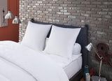 Cuscino Antiacaro e Cimici 60 X 60 cm Cuscino Multi Protezione Comfort Medio Morbido e Protettivo Lavabile in lavatrice a 40°C Naty Shop Cuscini Standard Titolo predefinito