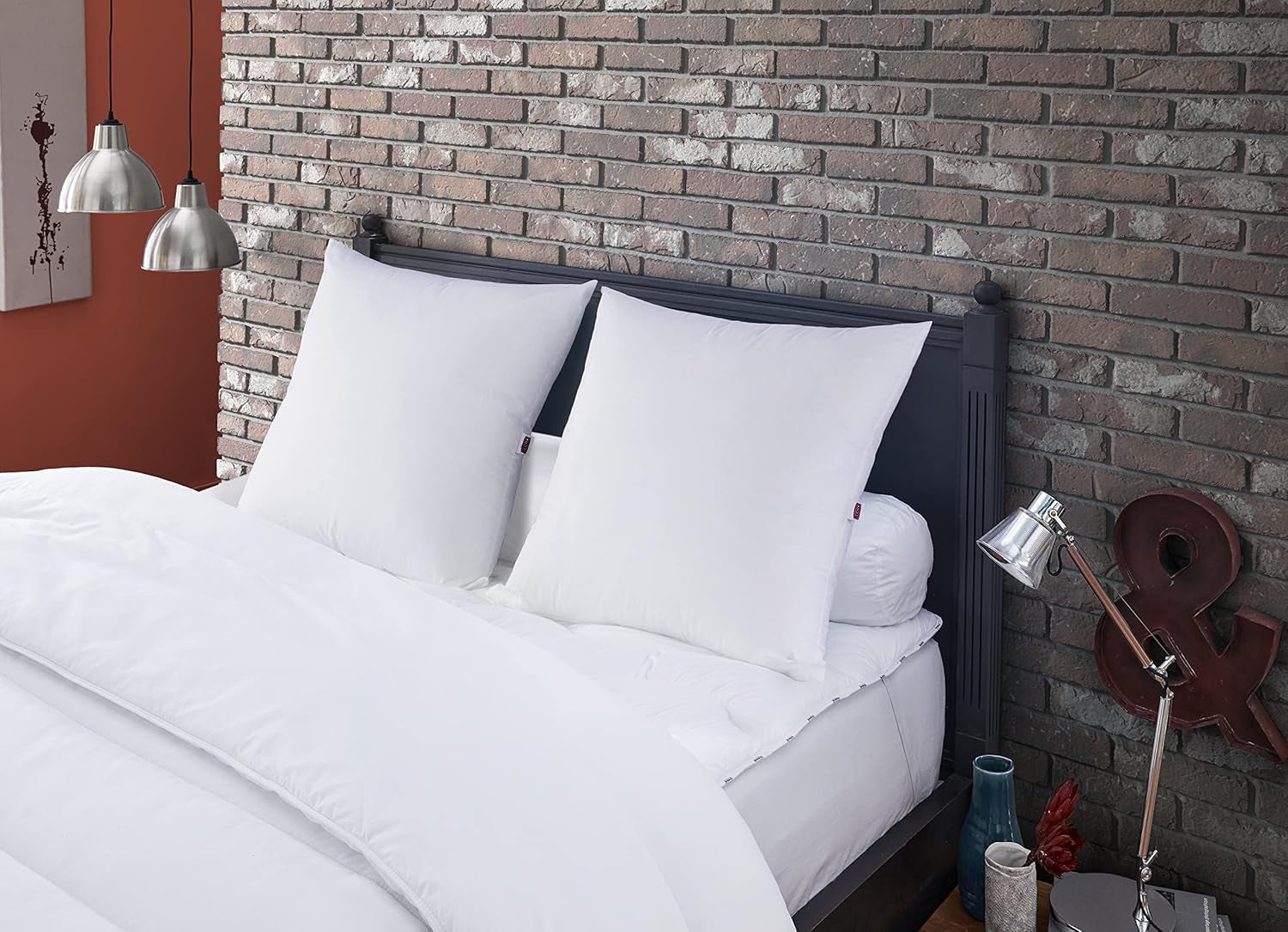 Cuscino Antiacaro e Cimici 60 X 60 cm Cuscino Multi Protezione Comfort Medio Morbido e Protettivo Lavabile in lavatrice a 40°C Naty Shop Cuscini Standard Titolo predefinito