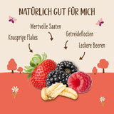 Allos Hof Granola ai frutti di bosco | Muesli biologico | Muesli ai frutti di bosco | Muesli Croccante | Cereali per la colazione | Confezione da 6 (6 x 300 g), 1 pezzo (confezione da 6)