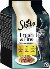 Sheba Portion Pouches Cibo umido per gatti, confezione multipla di gelatina di tacchino e pollo fresca e raffinata, 6x6x50 g - Cibo per gatti in gelatina di tacchino e pollo di alta qualità