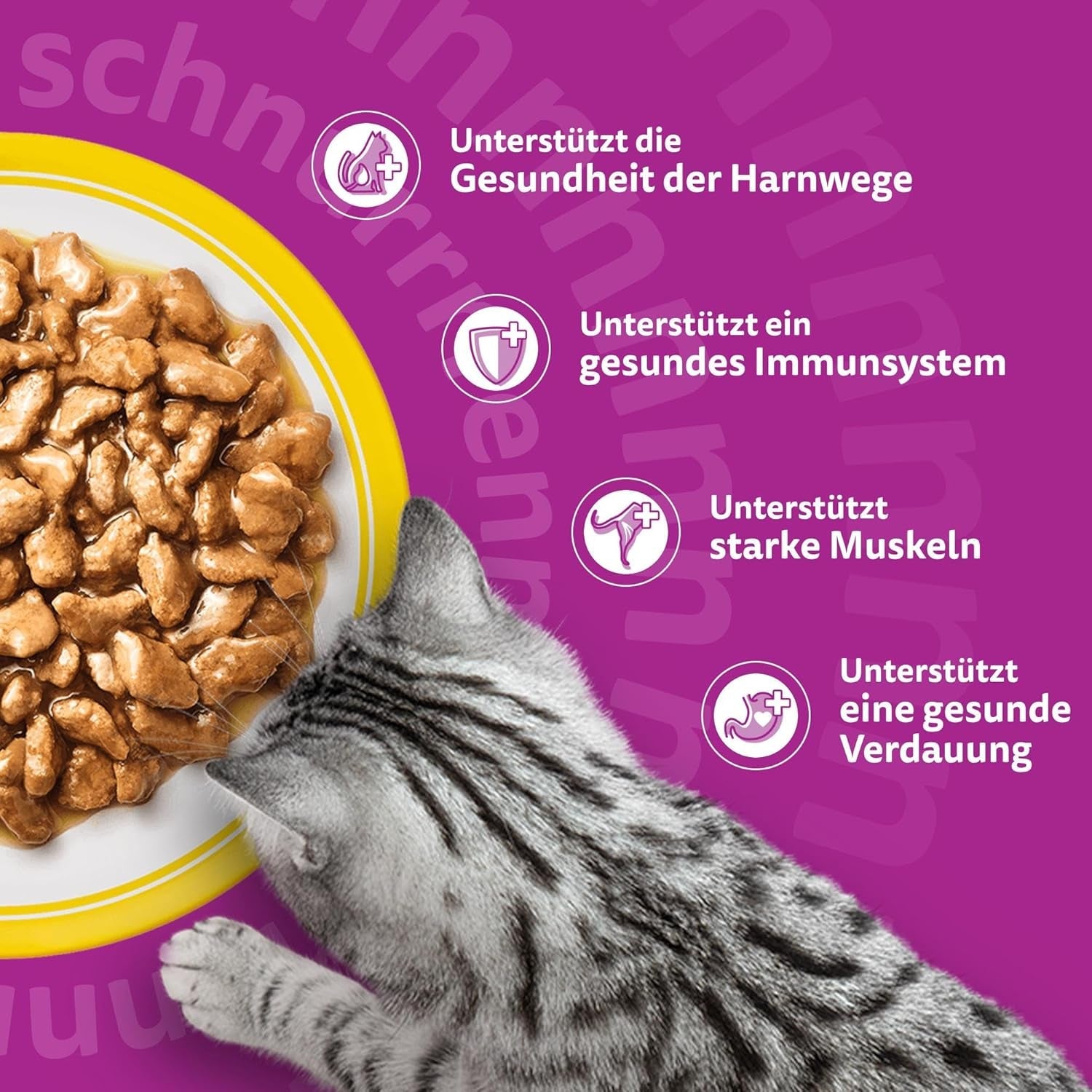 Whiskas 7+ Cibo umido per gatti Selezione di Pollame in Salsa 24 x 85 g (2 Confezioni) - Cibo umido di alta qualità a partire da 7 anni in 48 buste da porzione