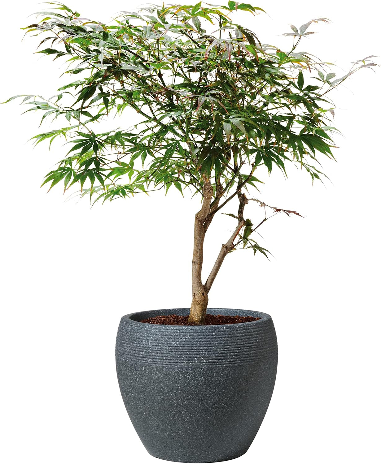 Scheurich Lineo, fioriera in plastica, granito nero, diametro 30 cm, altezza 24,1 cm, volume 11 l.