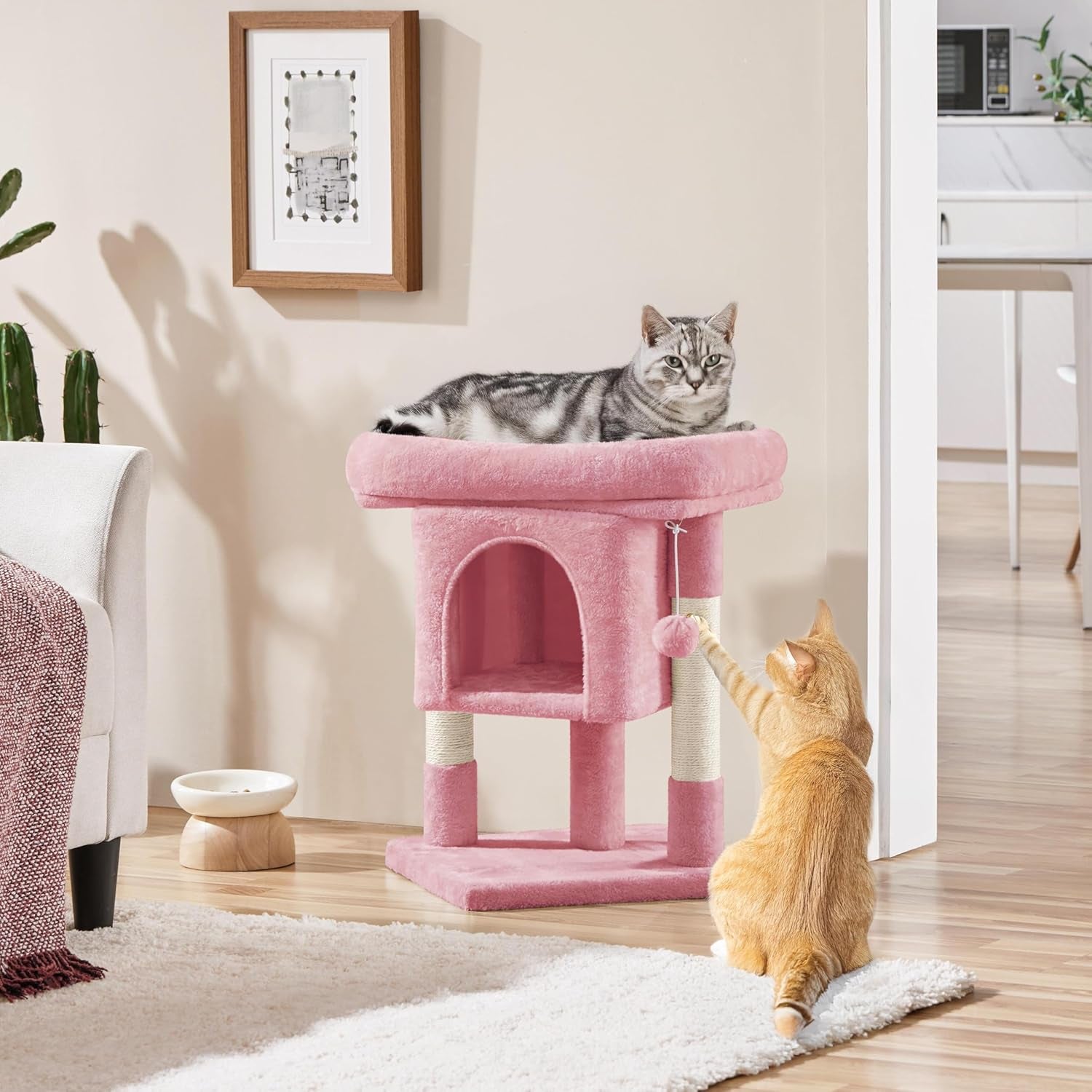 Coperte e Mobili, Animali Domestici, Gatti, Letti per gatti, Tiragraffi, Gatti - Letti, Materassi