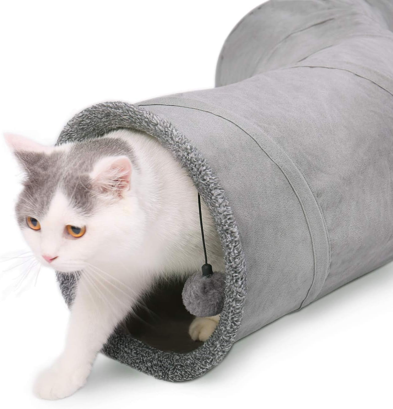 Animali domestici, gatti, gatti - letti, materassi, giocattoli, tunnel