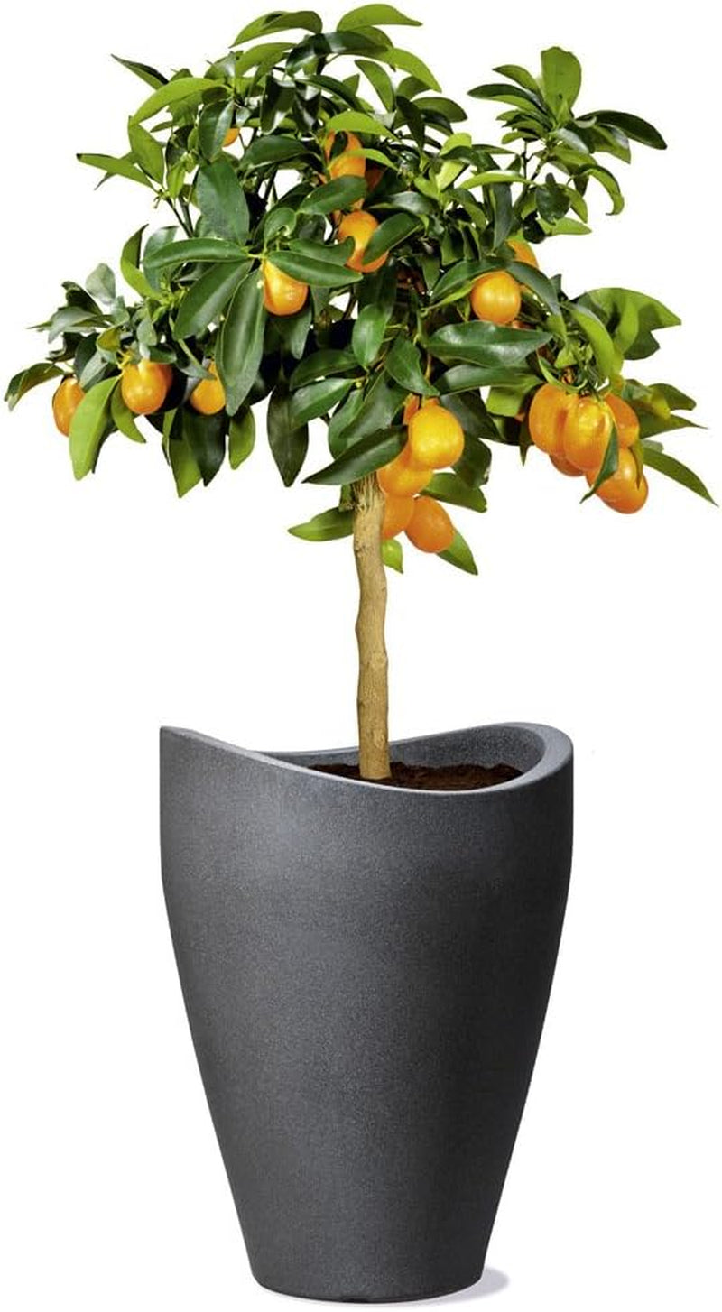 Scheurich Wave Globe High, contenitore alto in plastica, granito nero, diametro 29,8 cm, altezza 40 cm, volume 6 l.