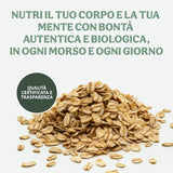 Cornflakes bio leggeri da 500g per confezione