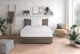 Cuscino in piuma Traumnacht comfort con imbottitura in piuma di alta qualità e rivestimento antipelucchi in 100% cotone, certificato Oeko-Tex, 80 X 80 cm, prodotto secondo lo standard di qualità tedesco Naty Shop cuscini standard