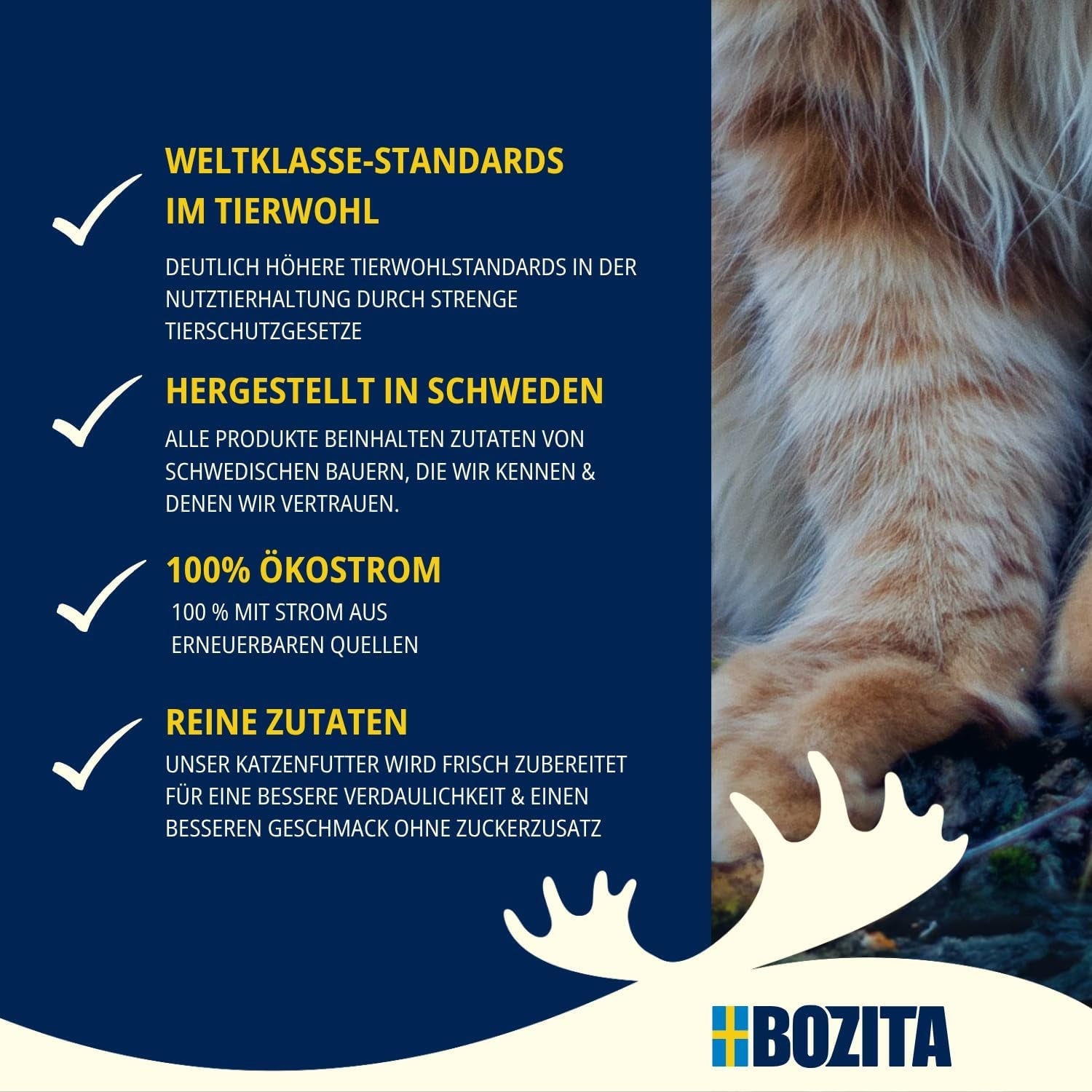 Confezione prova Bozita Tetra in salsa con tanto pollo, carbone e tanto pollo e manzo in gelatina - 4+2-6x370g Alimento senza cereali e senza zucchero per gatti sterilizzati con 7,5% di proteine ​​e 5% di grassi