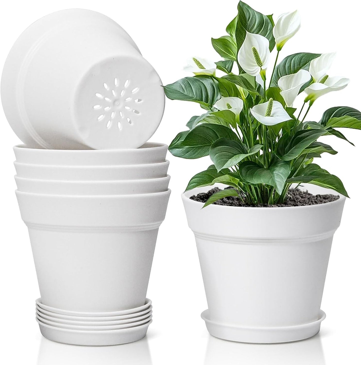 T4U Vaso da Fiori in Plastica con Sottovaso da 16 cm, Set di 6 Vasi per Erbe in Plastica con Fori di Drenaggio Multipli, Vaso Rotondo per Piante Succulente da Interno e da Balcone, Cactus, Bianco