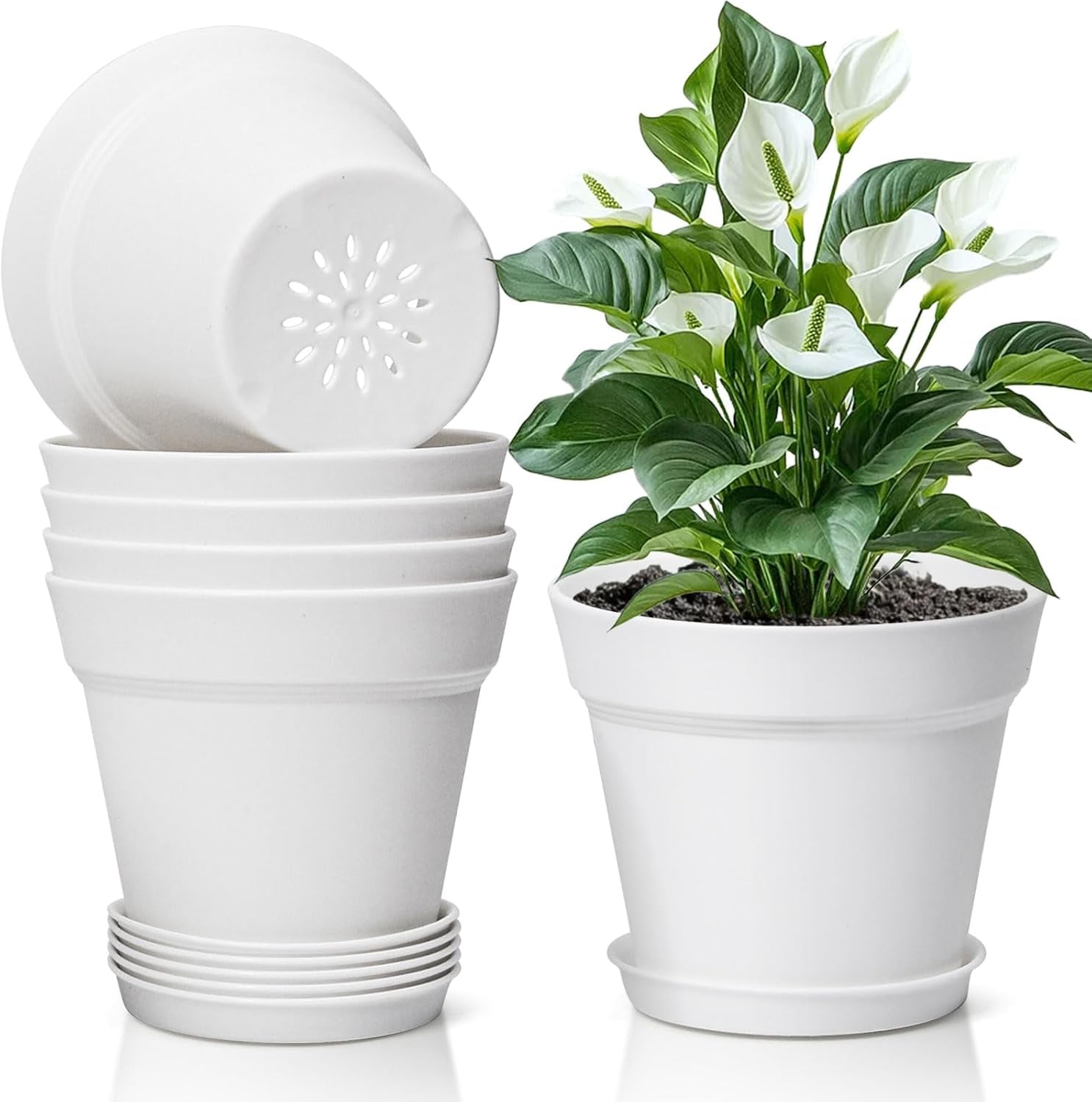 T4U Vaso da Fiori in Plastica con Sottovaso da 16 cm, Set di 6 Vasi per Erbe in Plastica con Fori di Drenaggio Multipli, Vaso Rotondo per Piante Succulente da Interno e da Balcone, Cactus, Bianco