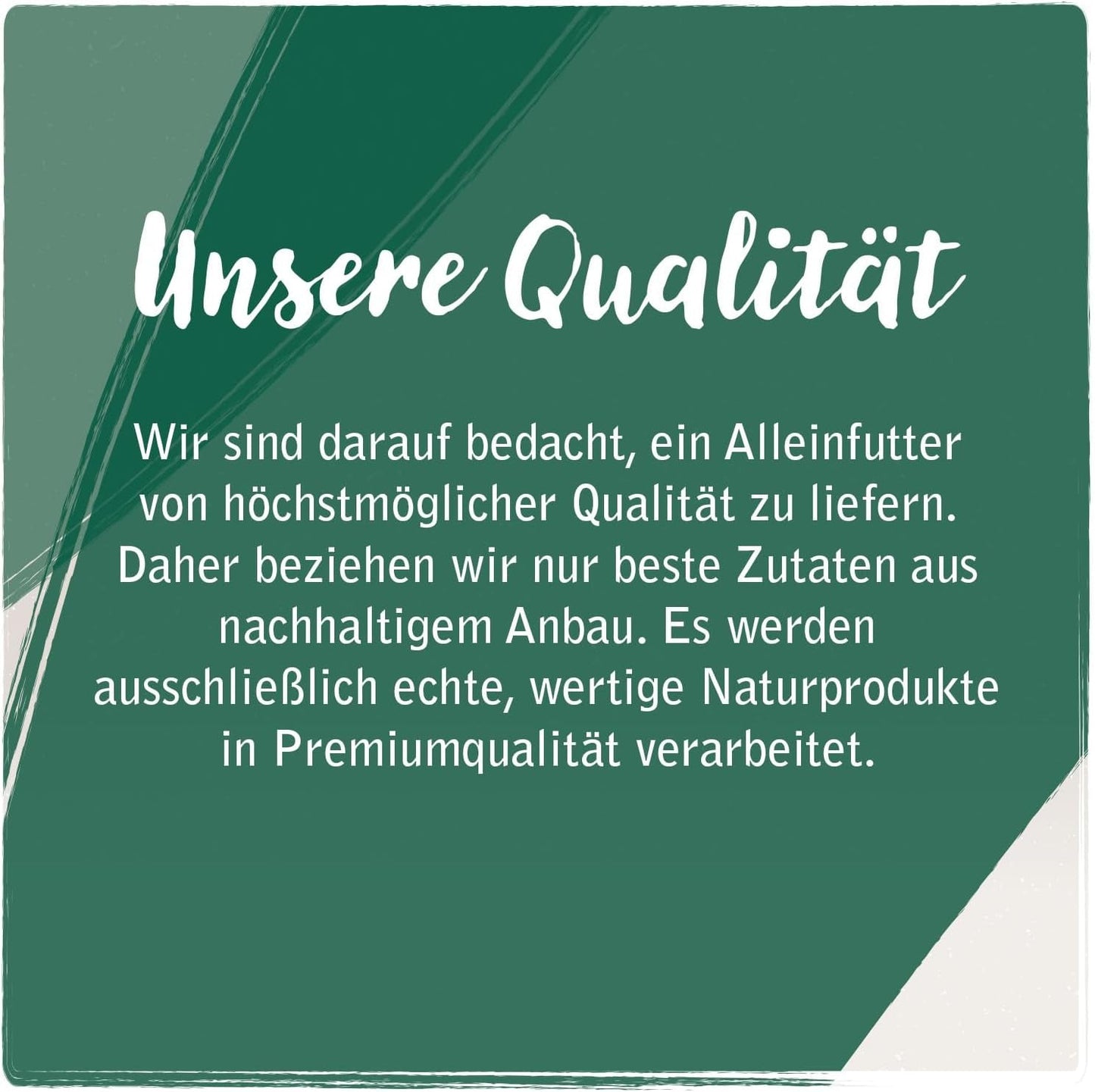 Venandi Animal - Premium Nassfutter für Katzen, Probierpakett I, Pollo, Pute, Cotenna, 6 x 200 g (confezione da 6), getreidefrei und naturbelassen