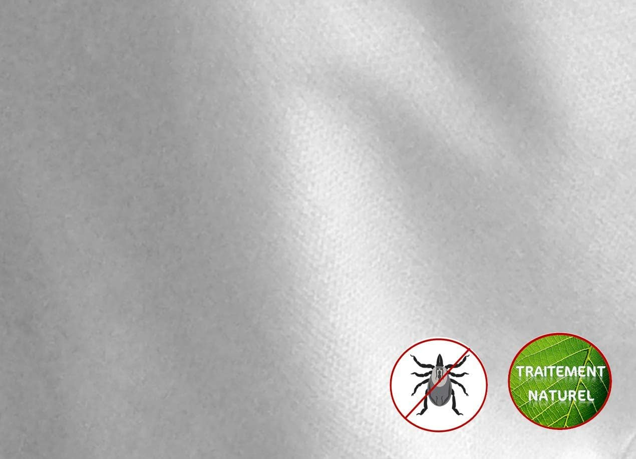 Trapunta antiacaro, calore naturale, 240 X 260 Cm Trapunte e Trapunte Naty Shop