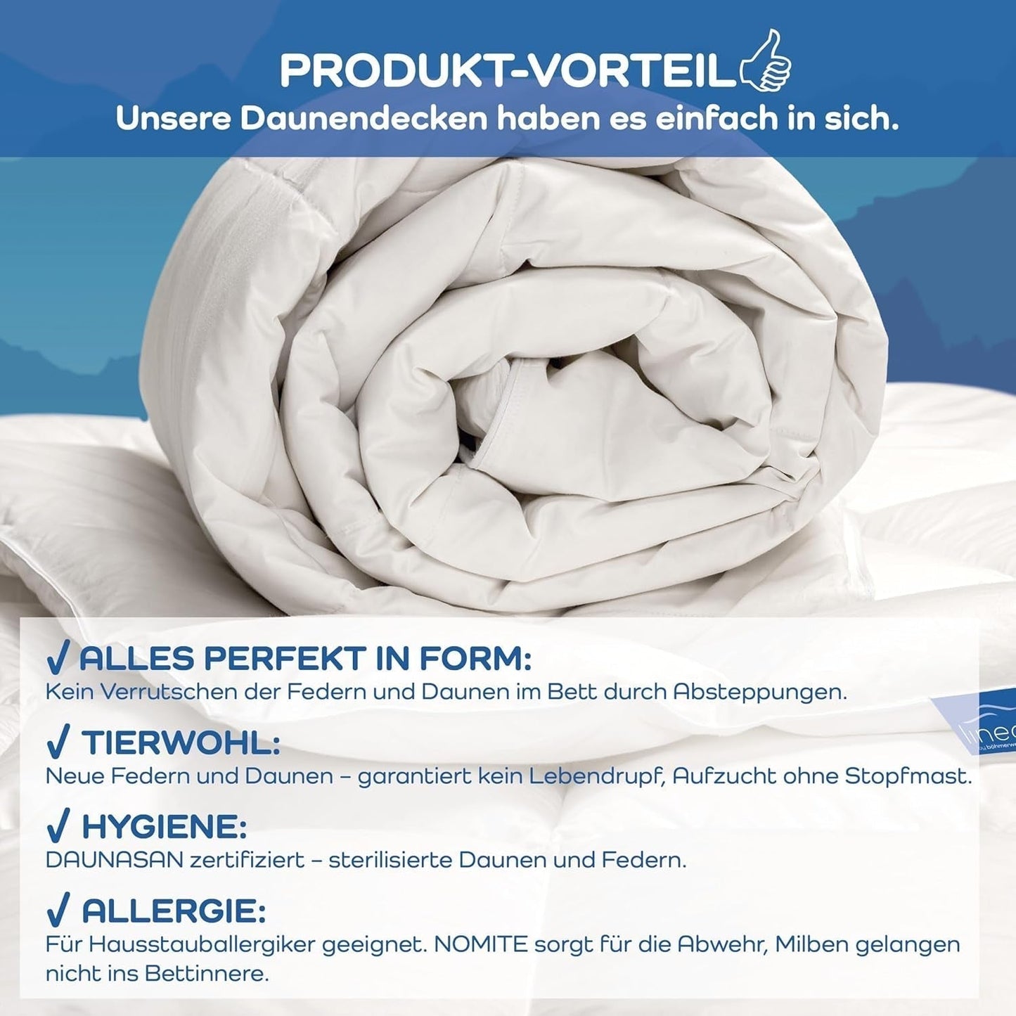 Trapunta comfort, (90 piumini / 10 piume), bianca, 135 X 200 Cm Trapunte e trapunte Naty Shop