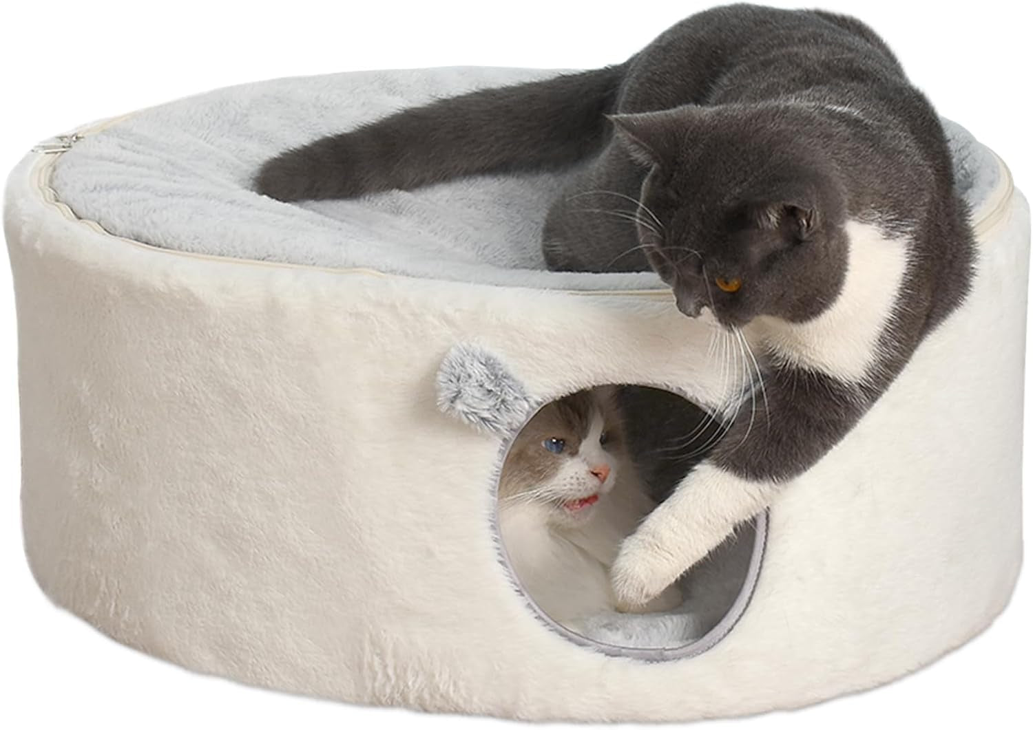 Coperte e Arredi, Animali Domestici, Grotte e Casette, Gatti, Letti per gatti, Gatti - Letti, materassi