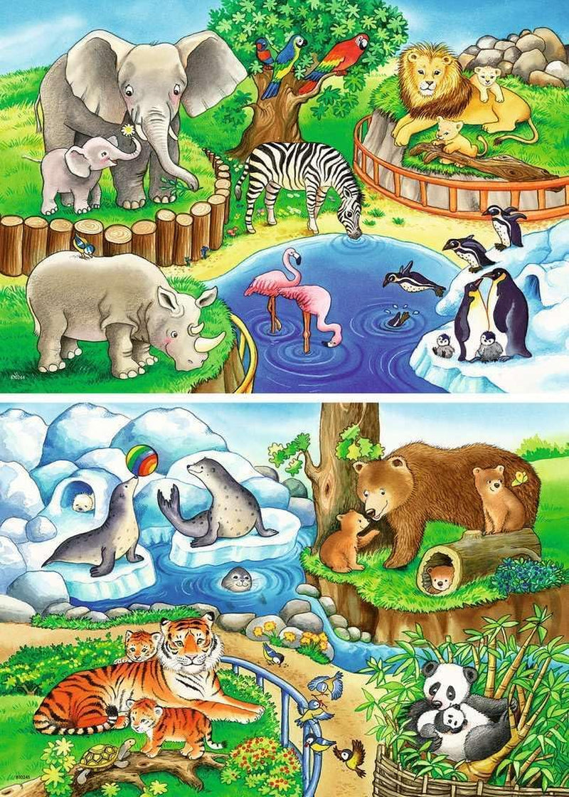 Ravensburger Puzzle per bambini - 07602 Animali allo Zoo - Puzzle per bambini dai 3 anni, con 2X12 pezzi Puzzle Naty Shop