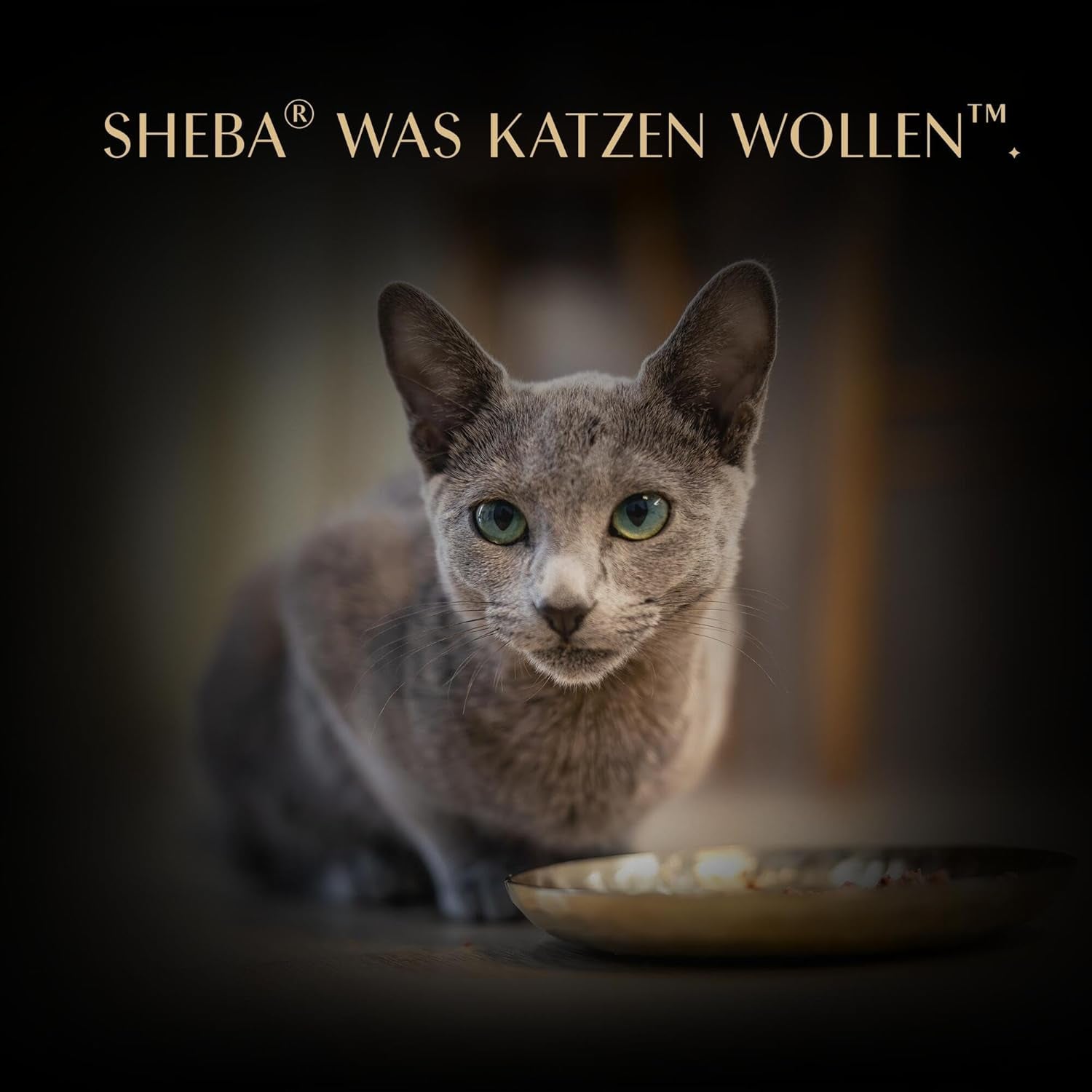 SHEBA Filetti Adult Katzenfutter in Salsa con Pollo, Hochseefisch und Garnelen 16 x 60g Conchiglia