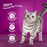 Whiskas 1+ cibo umido per gatti con pollo in gelatina, 28x85g (1 confezione) - Cibo umido di alta qualità per gatti adulti in bustine da 28 porzioni