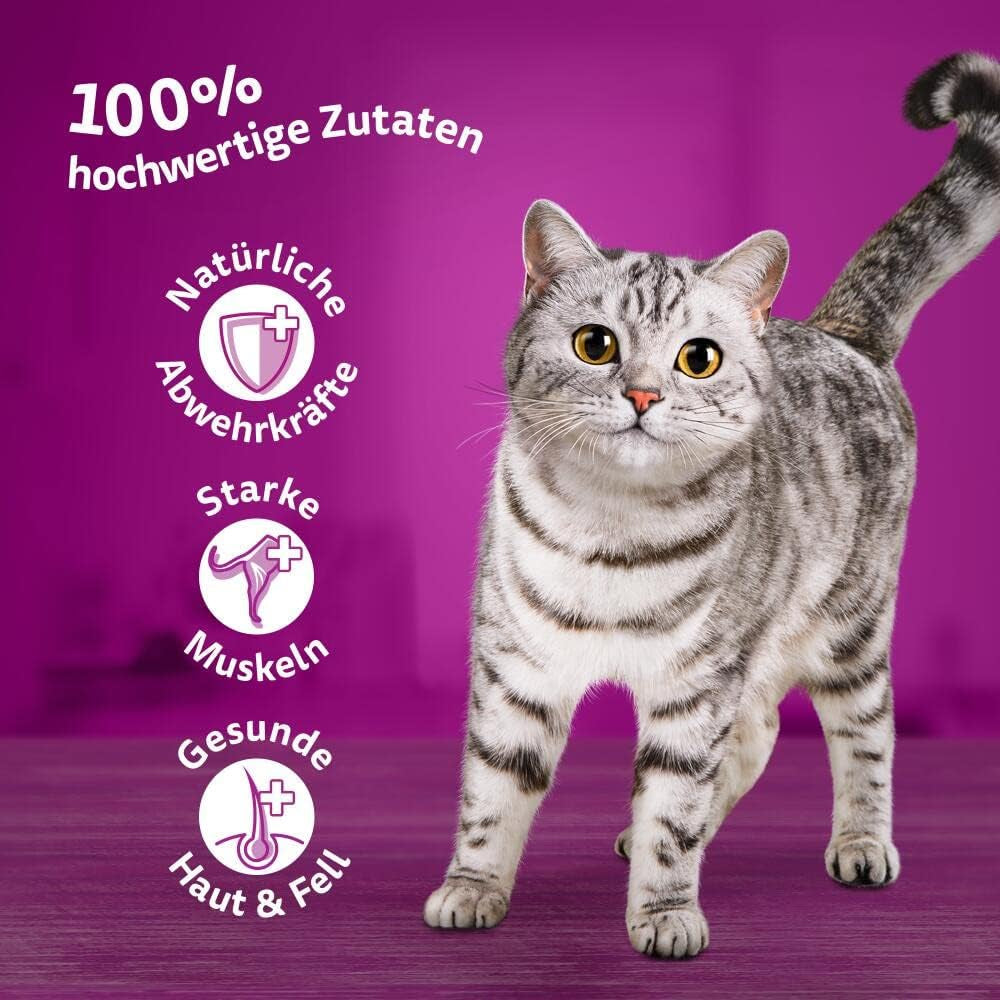 Whiskas 1+ cibo umido per gatti con pollo in gelatina, 28x85g (1 confezione) - Cibo umido di alta qualità per gatti adulti in bustine da 28 porzioni