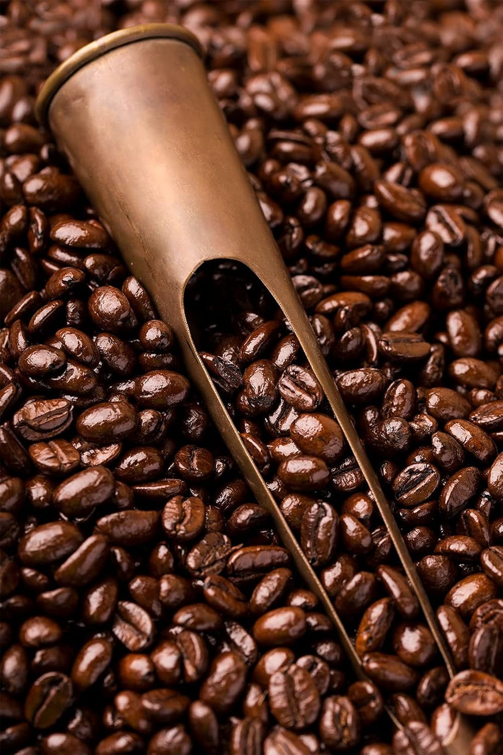 Caffè Barbera - Kit caffè con 3 miscele - 1870