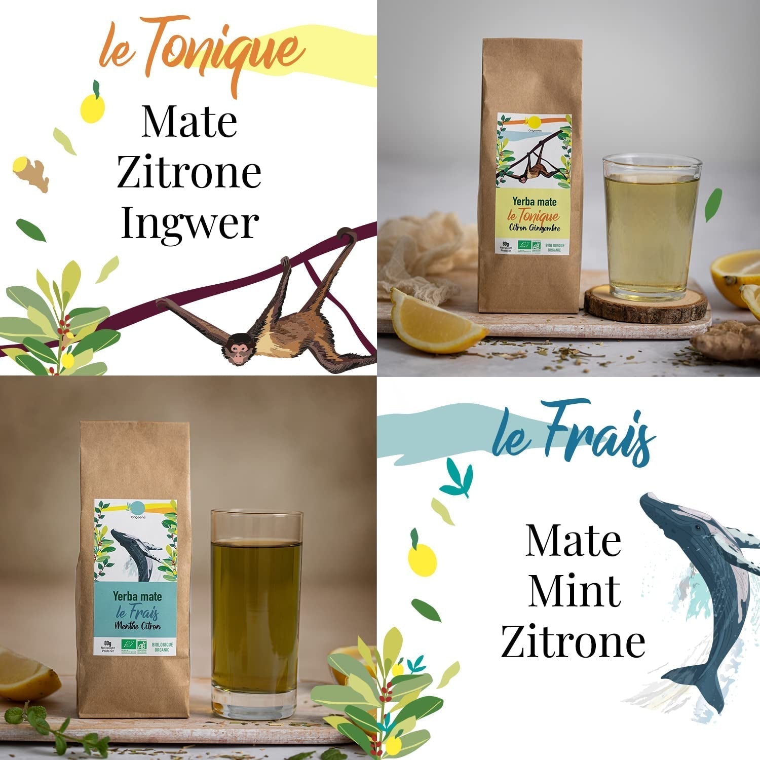 SET REGALO TÈ ORIGEENS BIO MATE X4 I Yerba Mate Bio 4X80G I Set da tè Yerba Mate, idea regalo