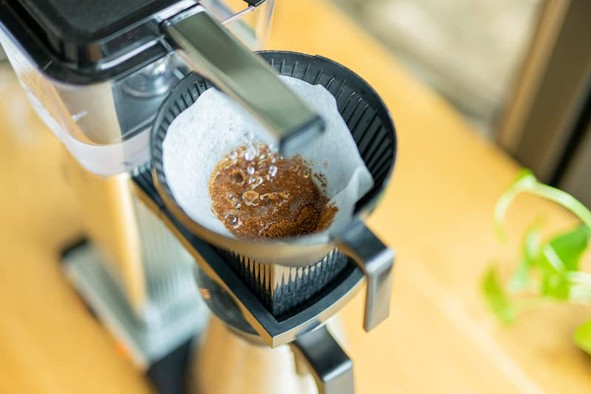 Filtro fioritura primaverile | 250 g di cereali integrali | giusto e sostenibile | appena fritto | caffè in grani 100% Arabica | caffè speciale | 19 grammi di Cafe Roastery…