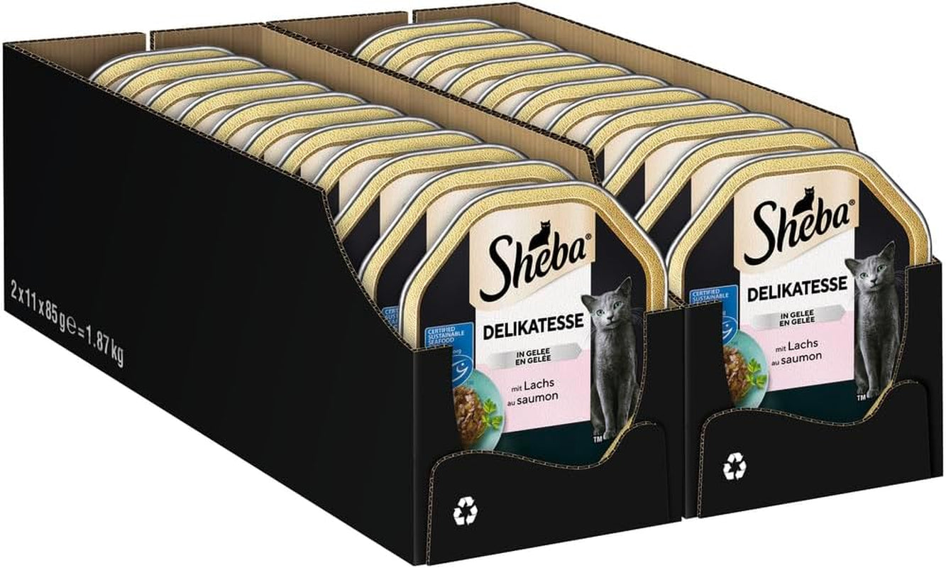 Sheba Cibo umido per gatti, Prelibatezze in gelatina di salmone, 2 x 11 x 85 g