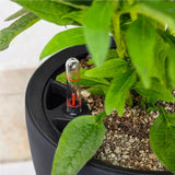 Fioriera LECHUZA Classico Color LS grigio ardesia con sistema di irrigazione |Ø 35 × 32 cm|14281