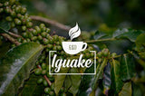Caffè Iguaque 1000gr | Premium Kaffee ganze Bohnen 100% Arabica dalla Colombia | Familienbetrieb - Single Origin Kaffeebohnen - Nachhaltige eigene Plantage im Hochland - Kräftiges Aroma