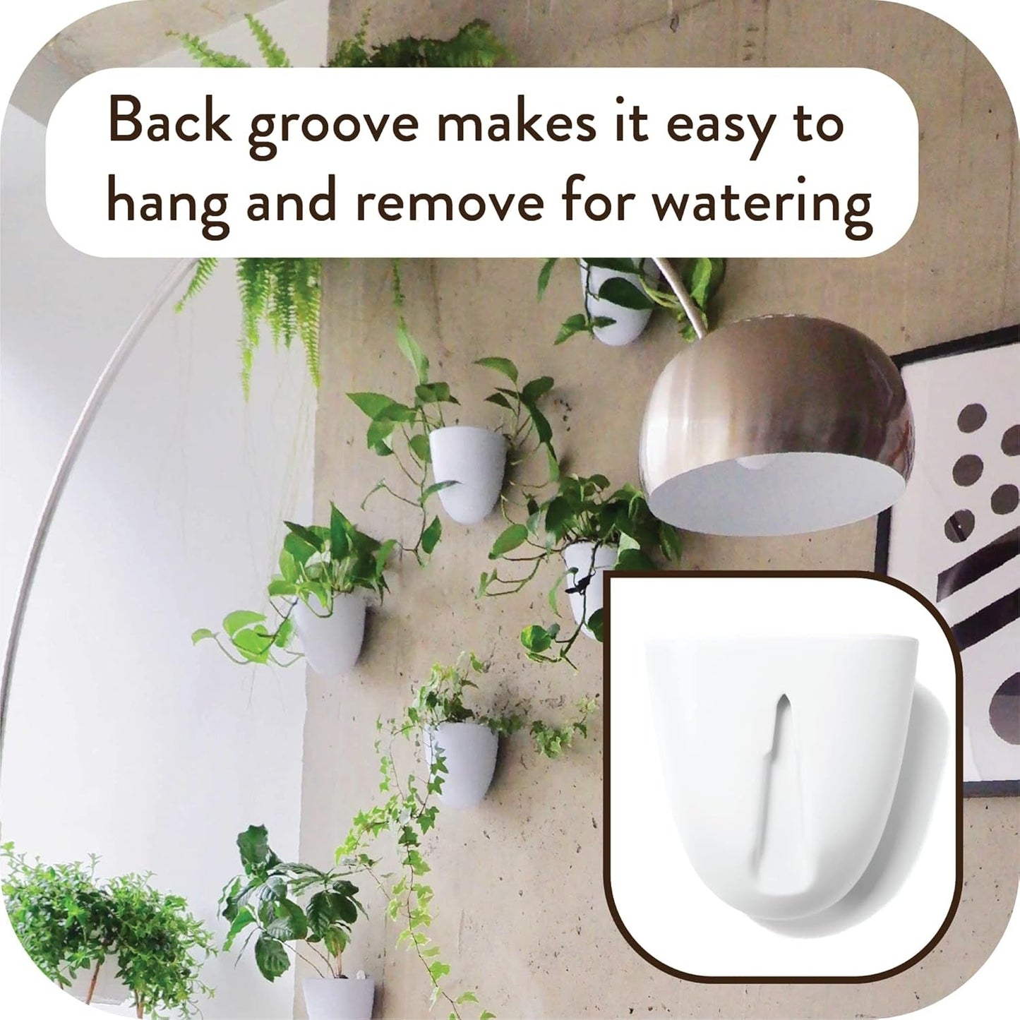 Vasi da parete autoirriganti Virgo (set da 6) - Facili da annaffiare e installare - Leggeri - Crea il tuo giardino verticale - Vasi da parete per piante da interno
