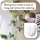 Vasi da parete autoirriganti Virgo (set da 6) - Facili da annaffiare e installare - Leggeri - Crea il tuo giardino verticale - Vasi da parete per piante da interno