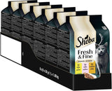 Sheba Portion Pouches Cibo umido per gatti, confezione multipack Fresh & Fine in salsa con pollo e salmone MSC, 6x6x50g - Piatti fini per gatti in salsa