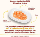 Almo Nature HFC Jelly - Alimento umido per gatti adulti - Salmone e Carote - Qualità Human, Senza Glutine - 6 x 70g