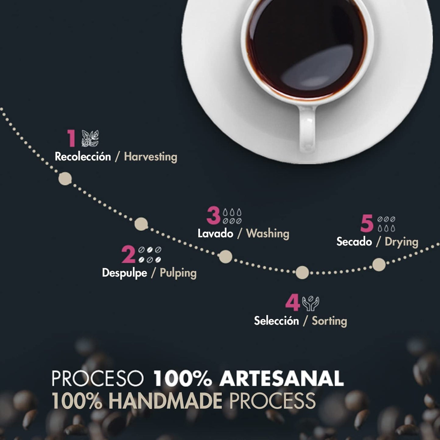 Chicchi di caffè Arabica tostati | 500 g con sentori di cacao e mandorle | Da una torrefazione tradizionale | Gusto delicato