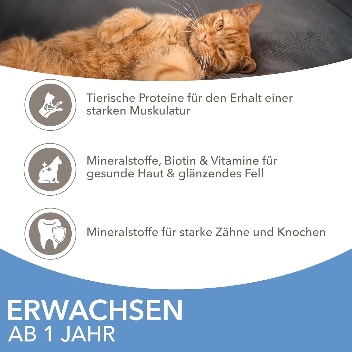 IAMS Delights Sea Collection Katzenfutter Nass - Confezione multipla con varietà di pesce (Lachs, Thunfisch, Mackerel, Seefisch) in salsa, Nassfutter für Katzen da 1 anno, 12 x 85g
