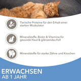 IAMS Delights Sea Collection Katzenfutter Nass - Confezione multipla con varietà di pesce (Lachs, Thunfisch, Mackerel, Seefisch) in salsa, Nassfutter für Katzen da 1 anno, 12 x 85g