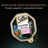 Sheba Cibo umido per gatti, Prelibatezze in gelatina di salmone, 2 x 11 x 85 g