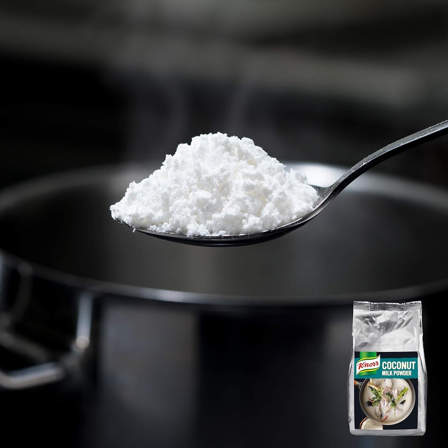 Knorr Kokosmilch Pulver (latte in polvere aus 20 frischen Kokosnüssen, ergibt 6.6 Liter Kokosmilch) 1er Pack (1 x 1 kg)