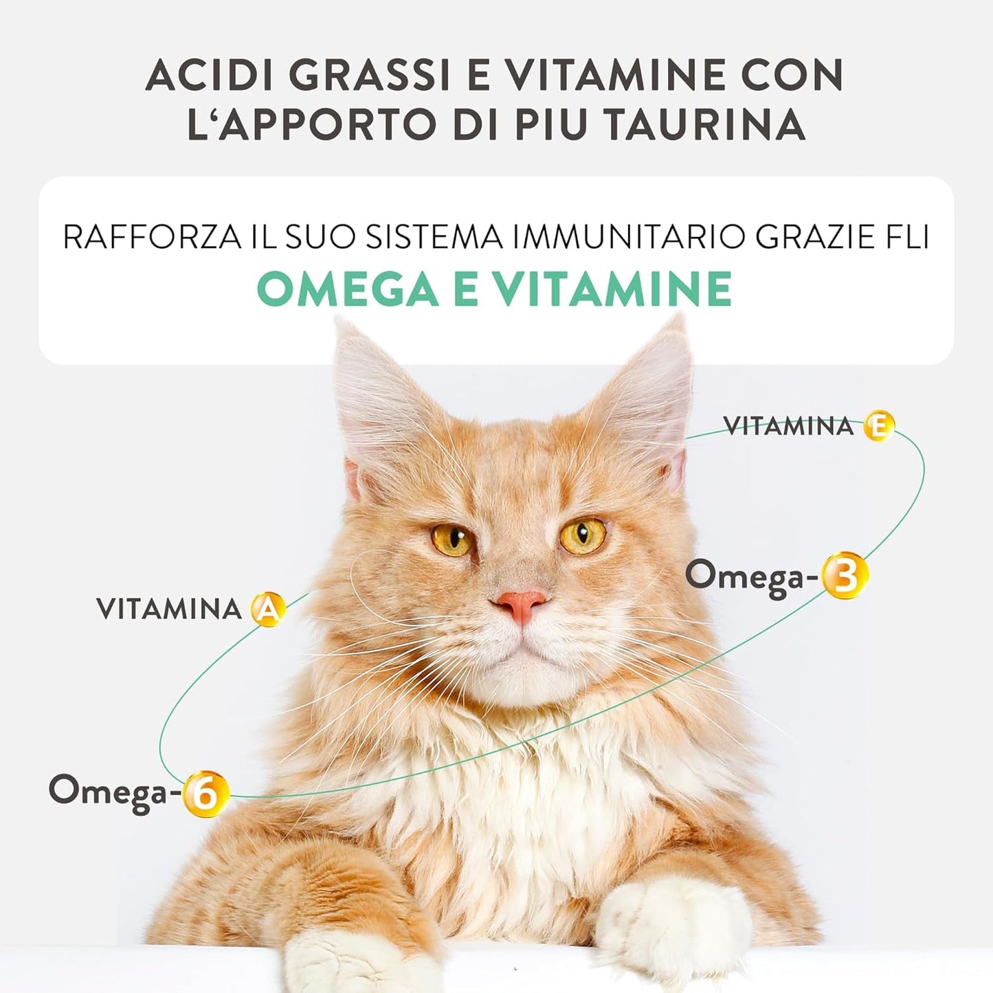 Pollo Silver con mousse e filetti d'anatra, alimento umido completo per gatti anziani, senza cereali, supporto immunitario, fonte di umidità, 12 x 70g