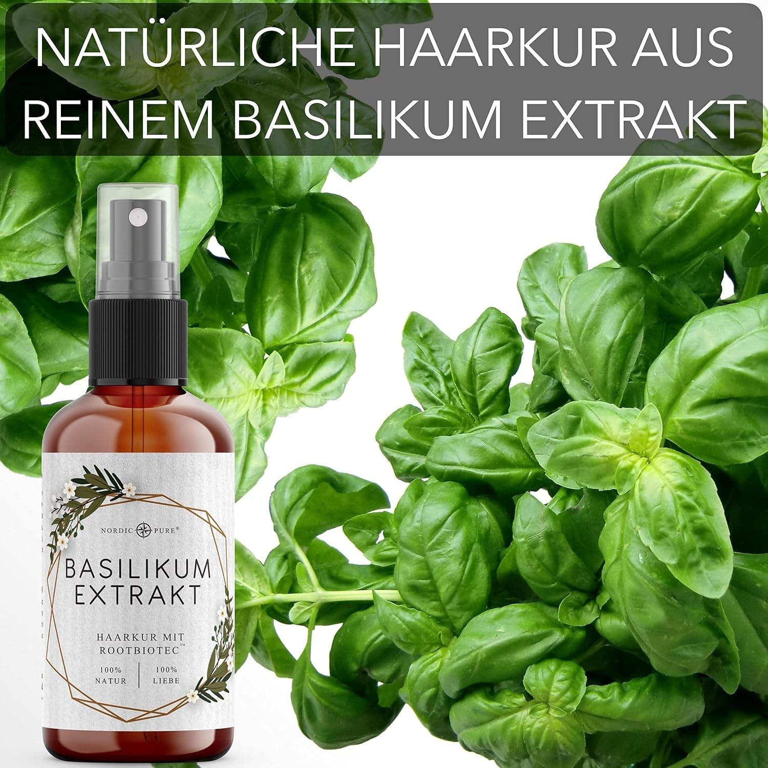 Trattamento per capelli con estratto di basilico di Nordic Pure | Per la cura dei capelli sottili, secchi e fragili | Può prevenire la caduta dei capelli 100ml Naty Shop cura dei capelli