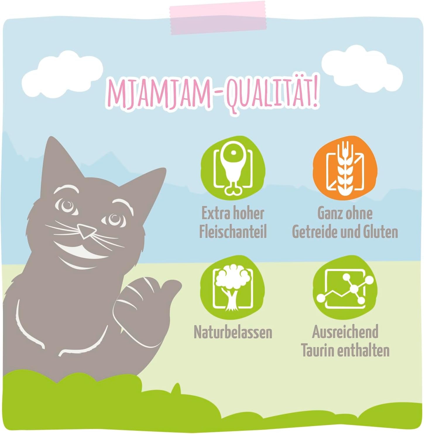 MjAMjAM - Alimento umido premium per gatti - Pollo succoso e salmone selvatico, confezione da 6 (6 x 400 g) senza cereali con carne extra